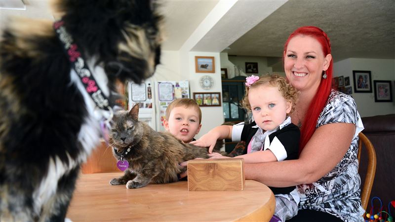 Michelle Welker smiles with her two children Maxwell Evans, 4, and Madeline Evans, 2, as her cats Amy Jean, left, and Pumpkin get comfortable on the kitchen table Tuesday, Oct. 20, at their home in Ogden. The wooden box holds the ashes of a third cat, Rocky, who was cremated in June.