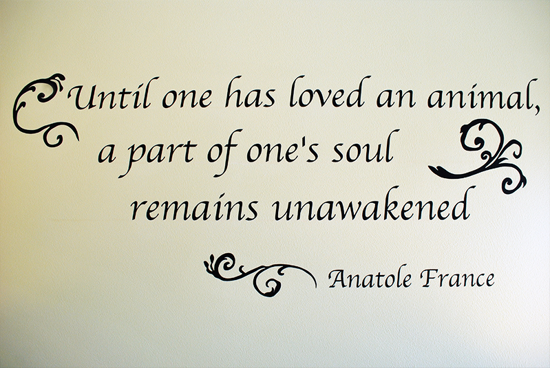 "Until one has loved an animal, a part of one’s soul remains unawakened." Anatole France