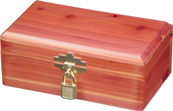 Cedar box 2024 for pet ashes